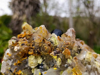Natural Smokey Quartz Cluster x 1 From Erongo, Namibia