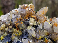 Natural Smokey Quartz Cluster x 1 From Erongo, Namibia