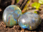 Polished Labradorite Palm Stones x 20 From Tulear, Madagascar - Toprock Gemstones and Minerals 
