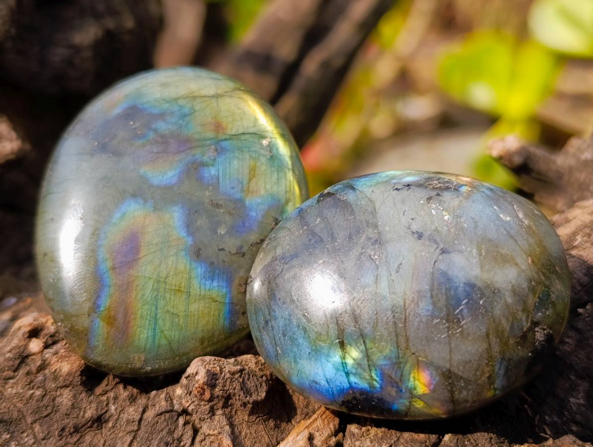 Polished Labradorite Palm Stones x 20 From Tulear, Madagascar - Toprock Gemstones and Minerals 