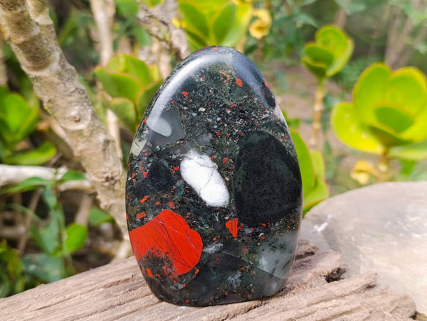 Polished Bloodstone Standing Free Forms x 2 From Swaziland