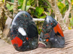 Polished Bloodstone Standing Free Forms x 2 From Swaziland - Toprock Gemstones and Minerals 