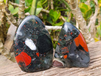 Polished Bloodstone Standing Free Forms x 2 From Swaziland