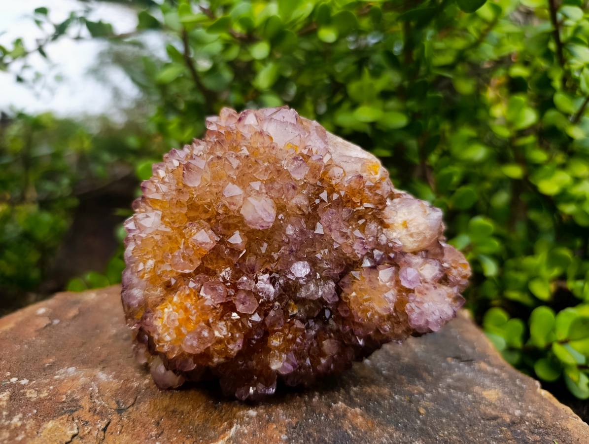 Natural Amethyst Spirit Quartz Clusters x 3 From South Africa - Toprock Gemstones and Minerals 