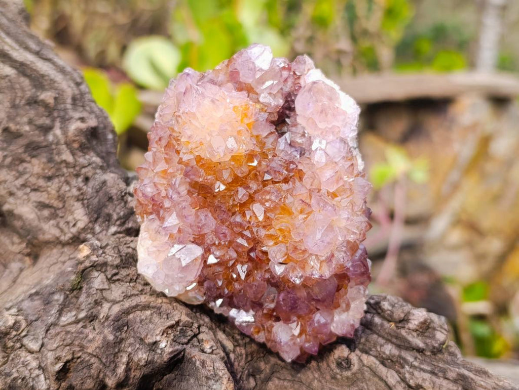 Natural Amethyst Spirit Quartz Clusters x 3 From South Africa - Toprock Gemstones and Minerals 