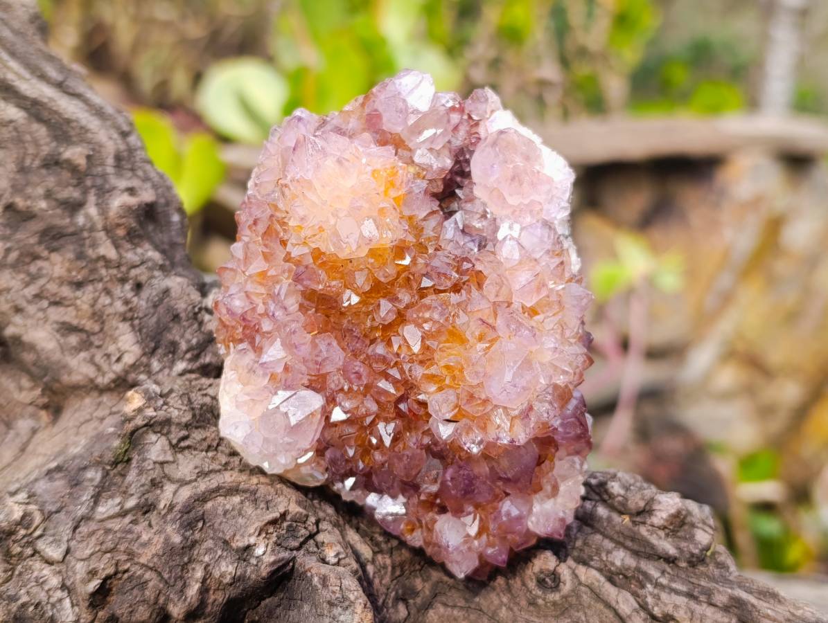 Natural Amethyst Spirit Quartz Clusters x 3 From South Africa - Toprock Gemstones and Minerals 