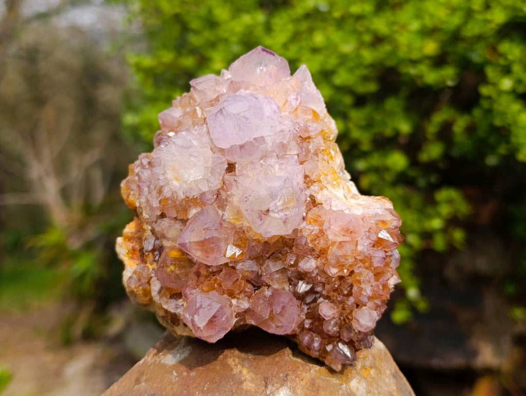 Natural Amethyst Spirit Quartz Clusters x 3 From South Africa - Toprock Gemstones and Minerals 
