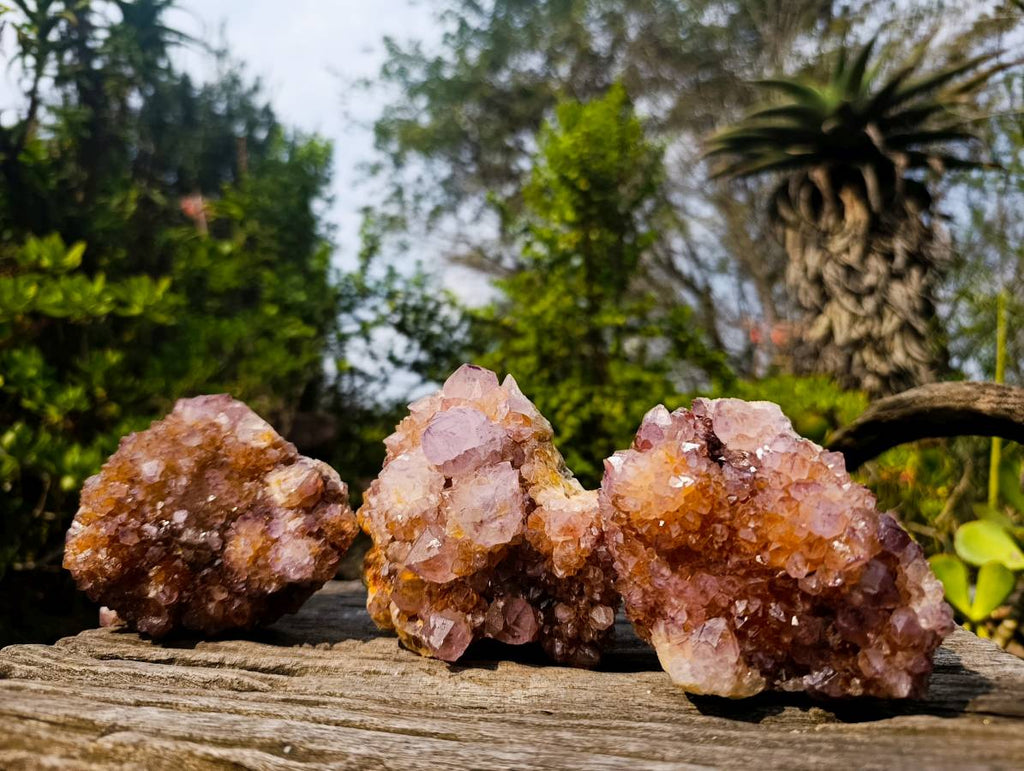 Natural Amethyst Spirit Quartz Clusters x 3 From South Africa - Toprock Gemstones and Minerals 