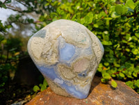 Polished Blue Lace Agate Standing Free Form x 1 From Malawi
