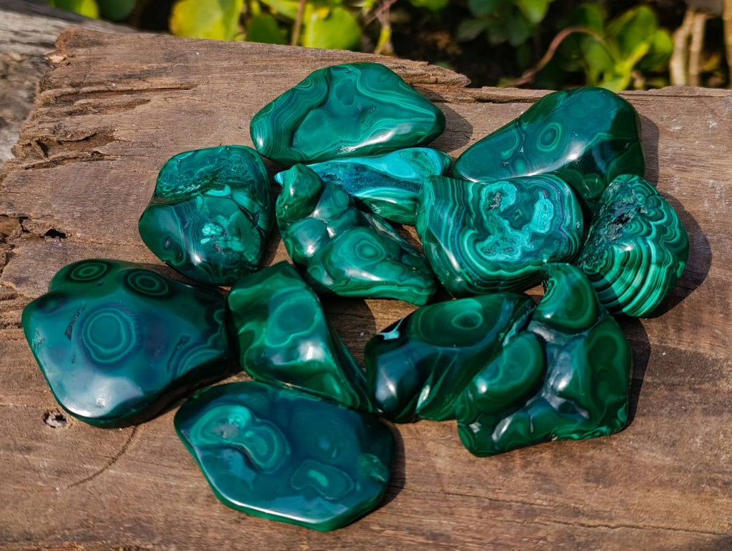 Polished Flower Banded Malachite Free Forms x 12 From Congo - Toprock Gemstones and Minerals 