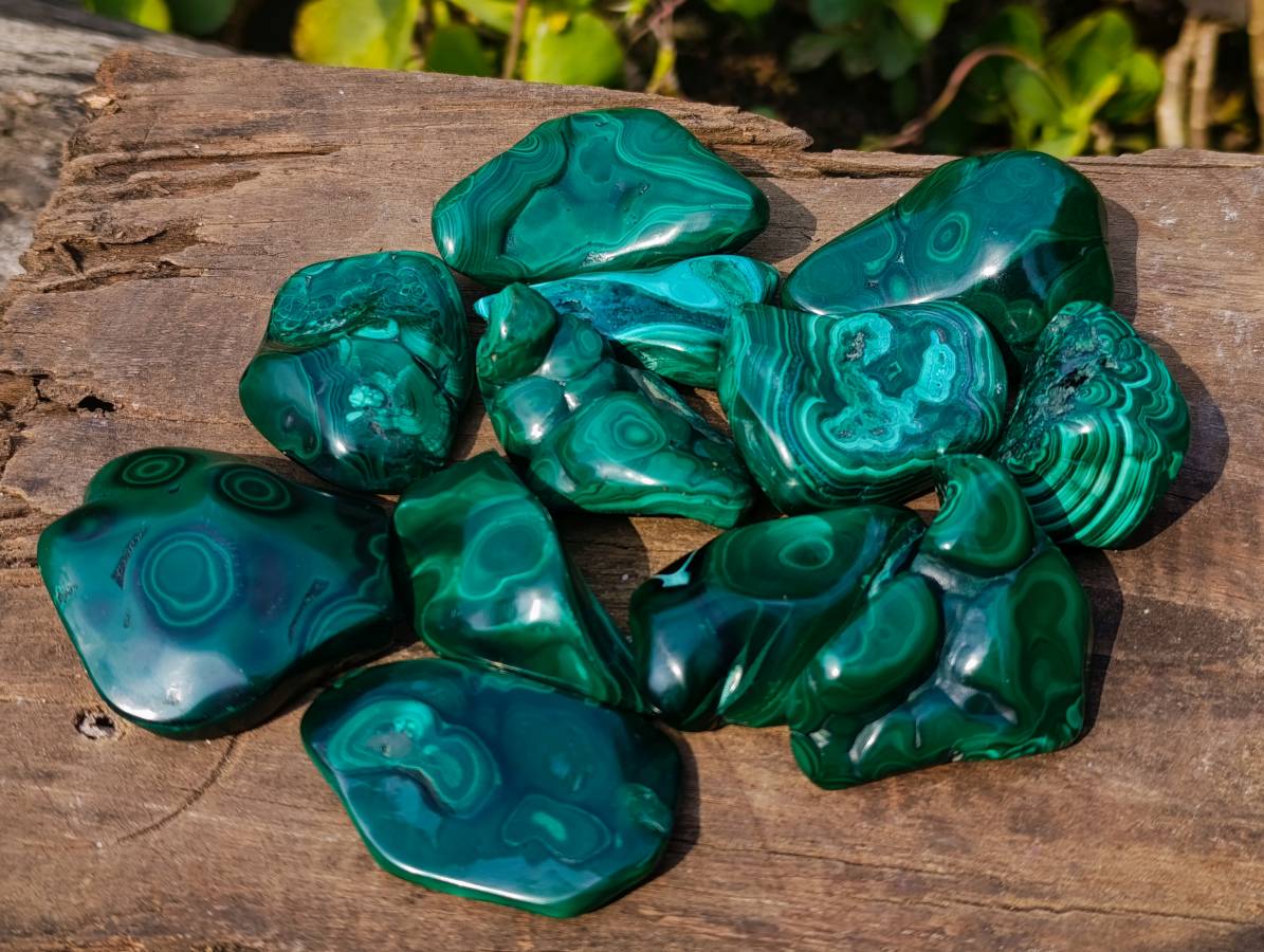 Polished Flower Banded Malachite Free Forms x 12 From Congo - Toprock Gemstones and Minerals 