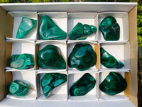 Polished Flower Banded Malachite Free Forms x 12 From Congo - Toprock Gemstones and Minerals 