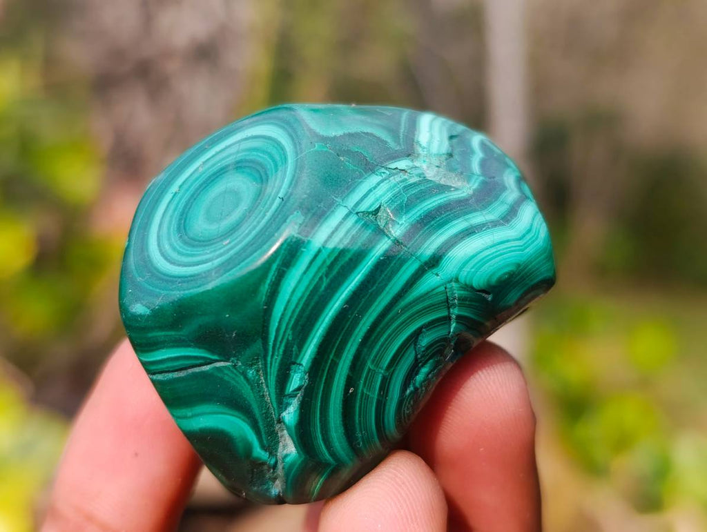 Polished Flower Banded Malachite Free Forms x 12 From Congo - Toprock Gemstones and Minerals 