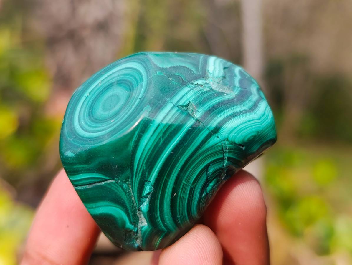 Polished Flower Banded Malachite Free Forms x 12 From Congo - Toprock Gemstones and Minerals 