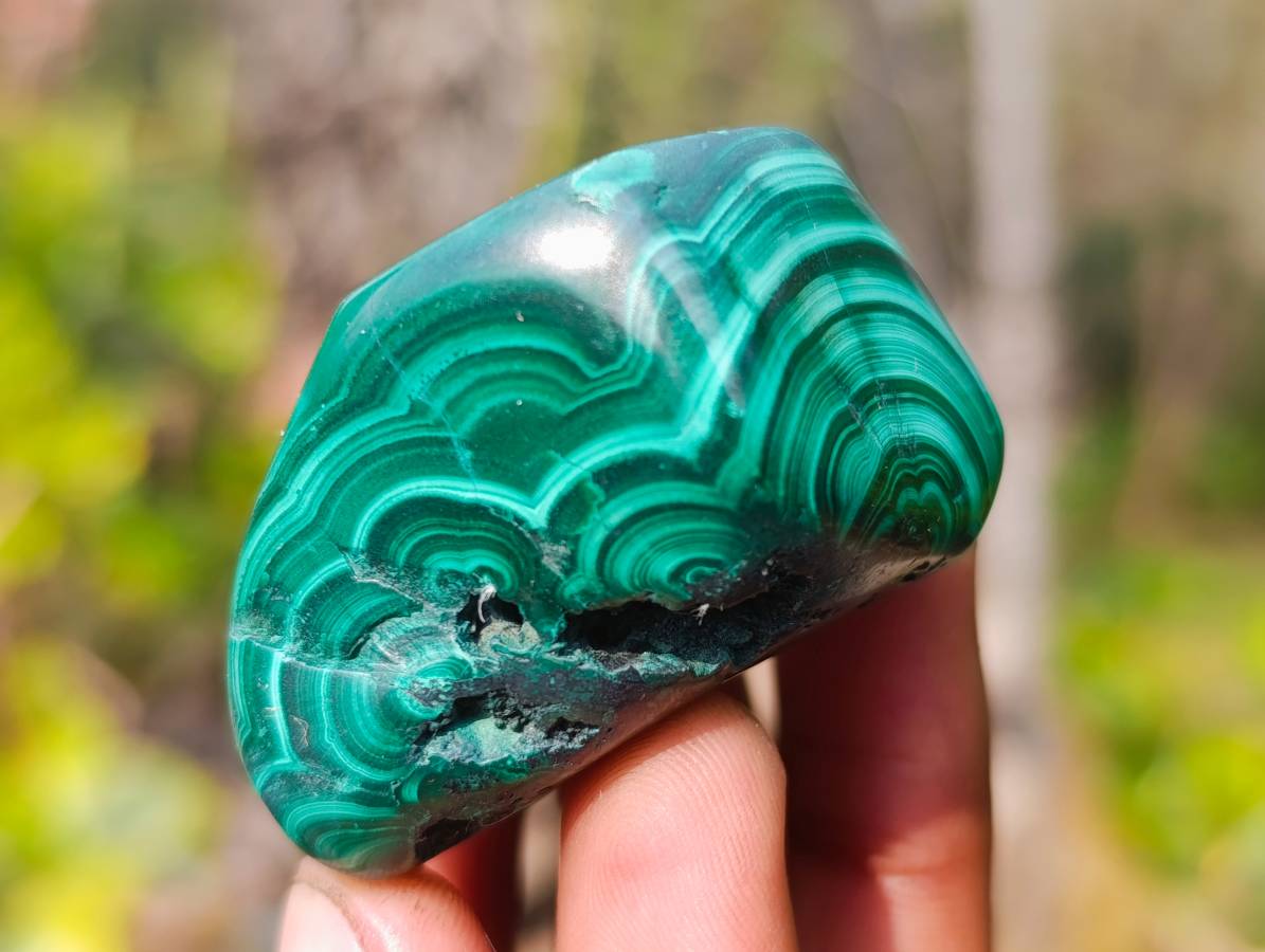 Polished Flower Banded Malachite Free Forms x 12 From Congo - Toprock Gemstones and Minerals 