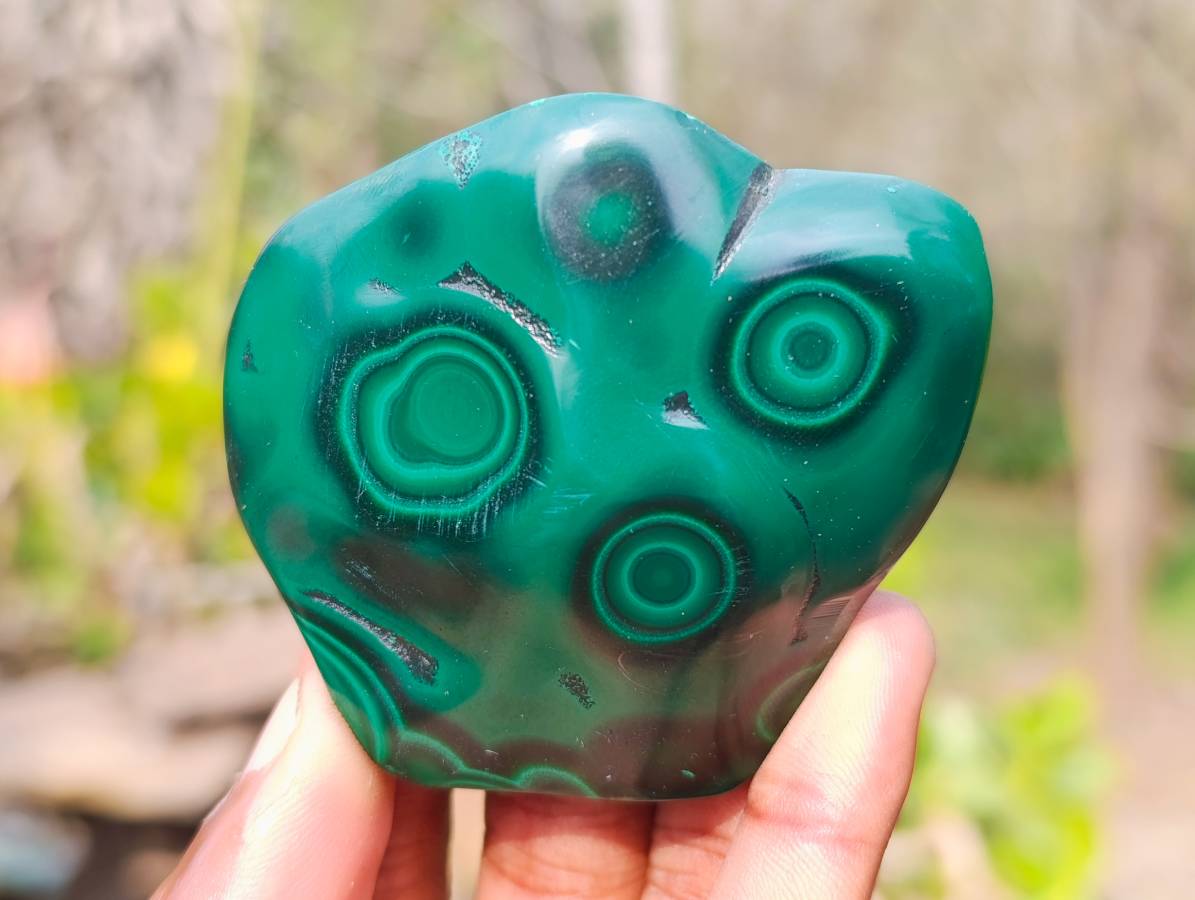Polished Flower Banded Malachite Free Forms x 12 From Congo - Toprock Gemstones and Minerals 