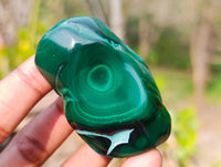 Polished Flower Banded Malachite Free Forms x 12 From Congo - Toprock Gemstones and Minerals 