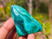 Polished Flower Banded Malachite Free Forms x 12 From Congo - Toprock Gemstones and Minerals 