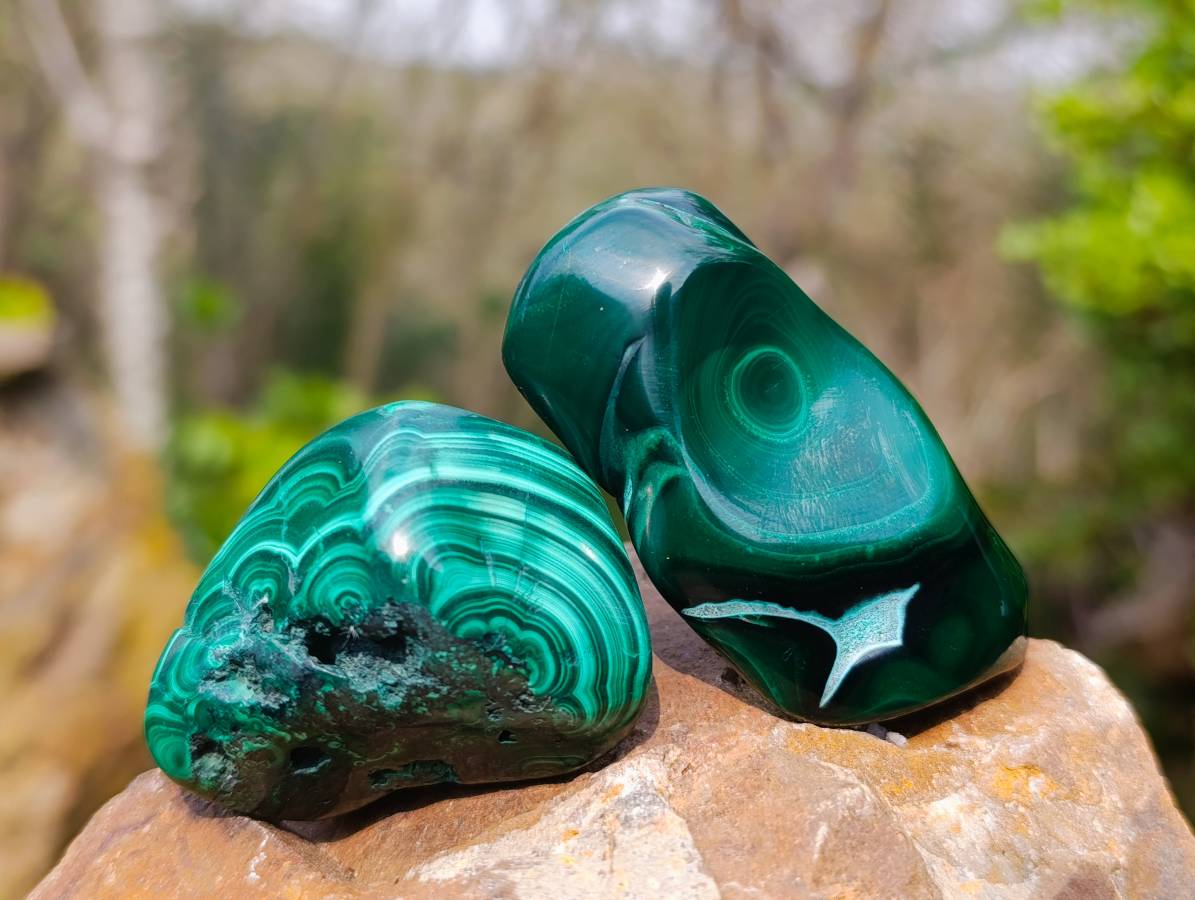 Polished Flower Banded Malachite Free Forms x 12 From Congo - Toprock Gemstones and Minerals 