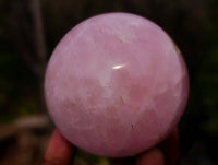 Polished Rose Quartz Spheres x 4 From Madagascar