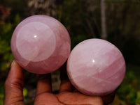Polished Rose Quartz Spheres x 4 From Madagascar