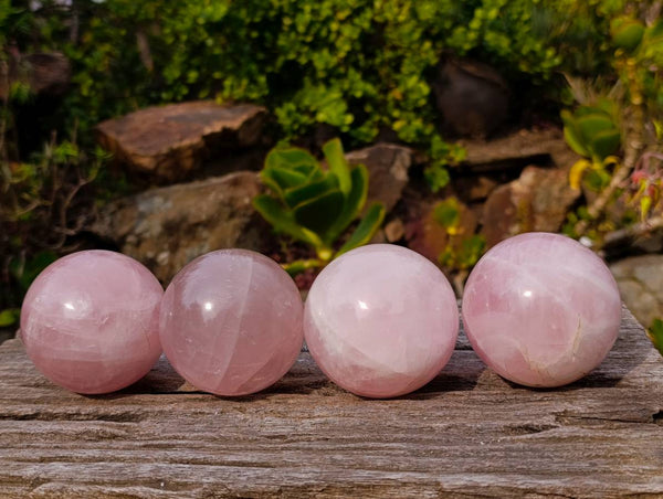 Polished Rose Quartz Spheres x 4 From Madagascar