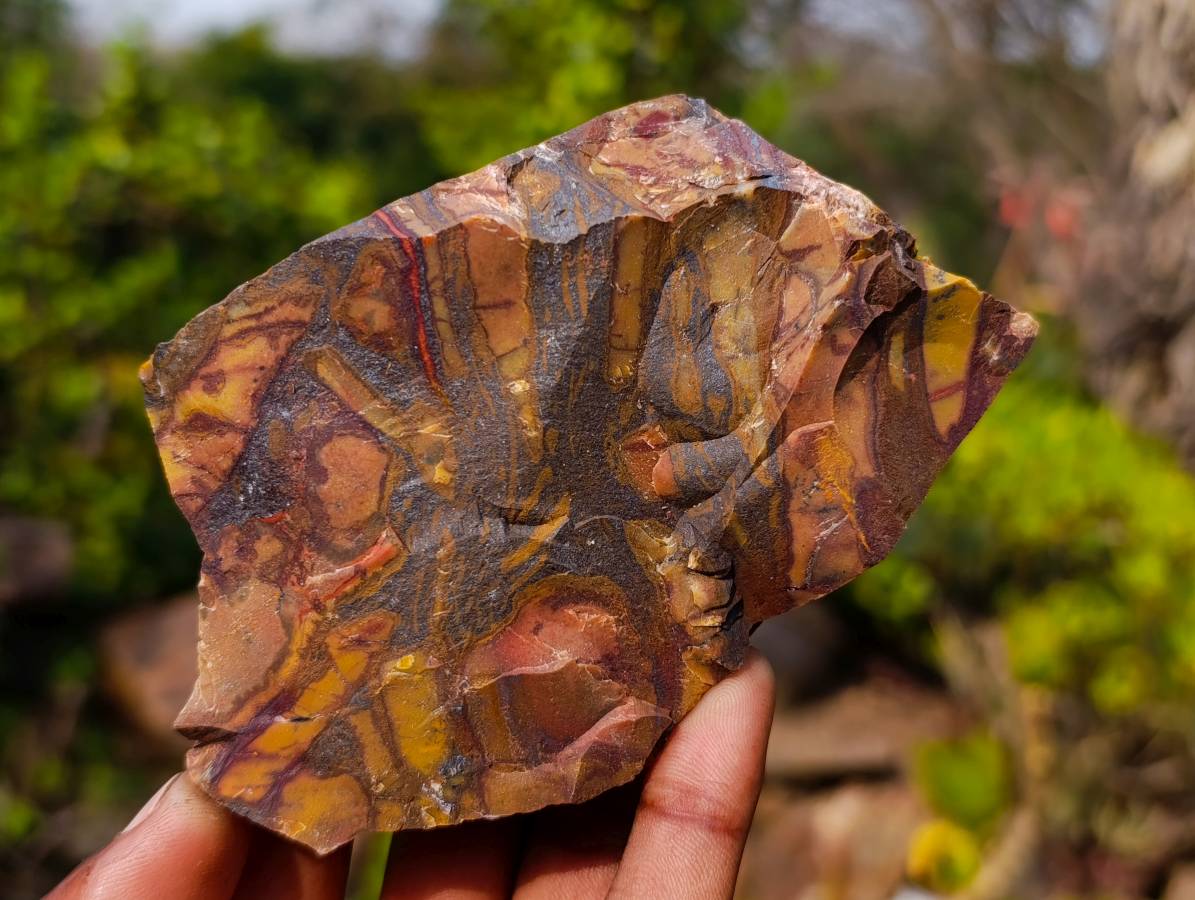 Natural Selected Nguni Jasper Cobbed Specimens x 12 From Prieska, South Africa - Toprock Gemstones and Minerals 
