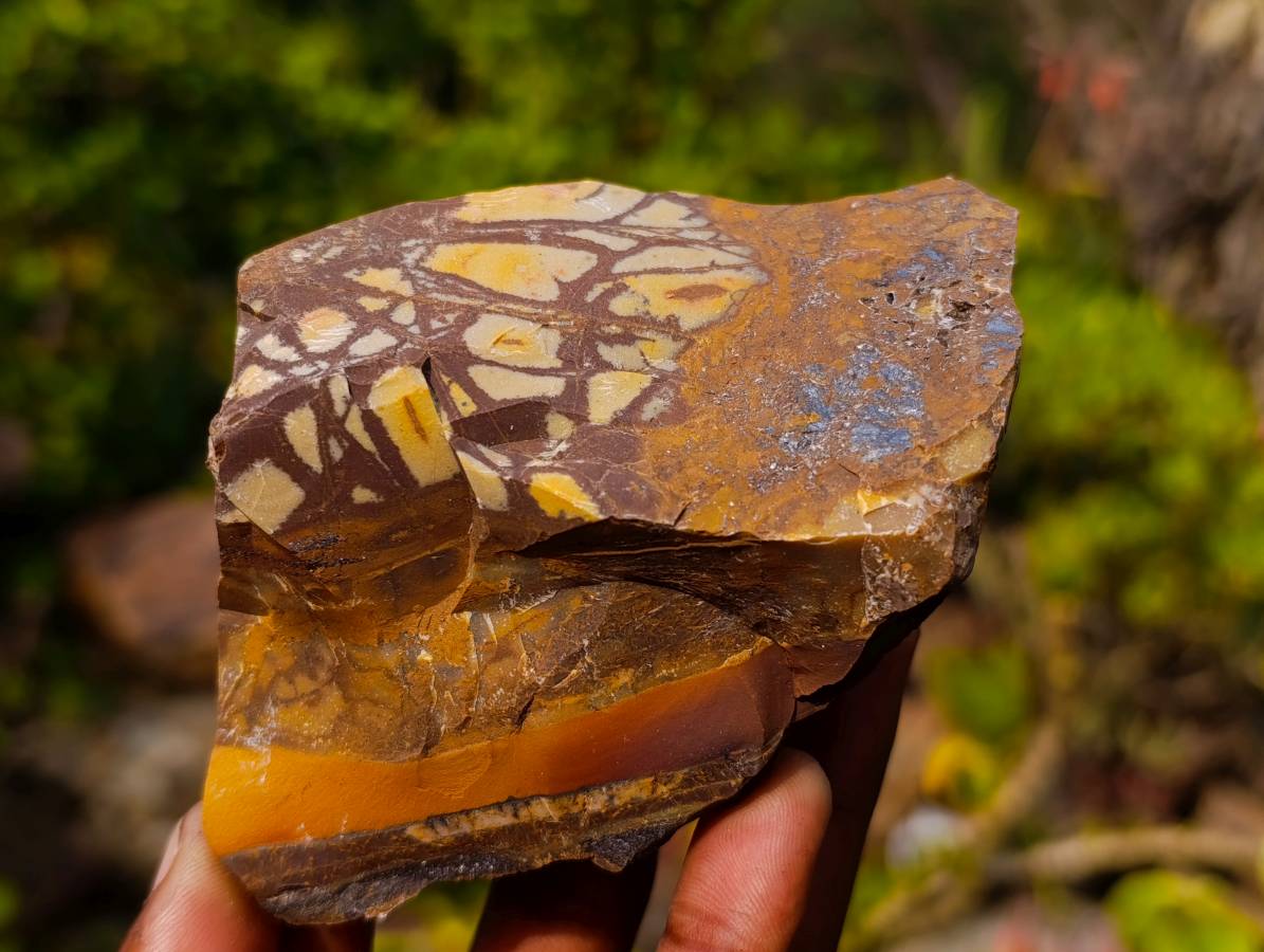 Natural Selected Nguni Jasper Cobbed Specimens x 12 From Prieska, South Africa - Toprock Gemstones and Minerals 