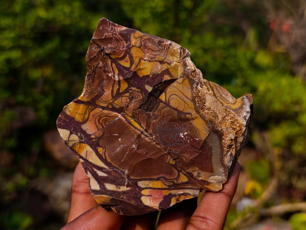 Natural Selected Nguni Jasper Cobbed Specimens x 12 From Prieska, South Africa - Toprock Gemstones and Minerals 