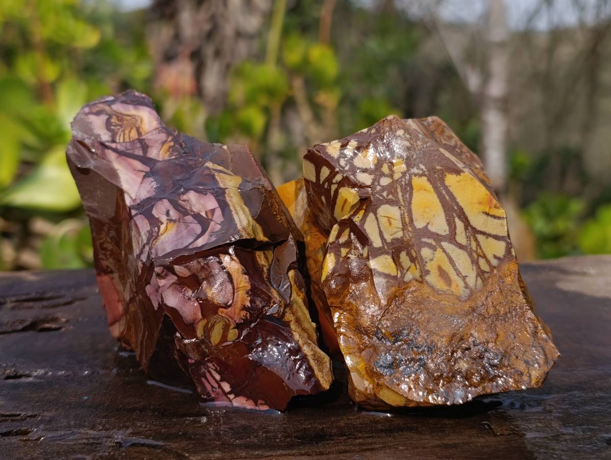 Natural Selected Nguni Jasper Cobbed Specimens x 12 From Prieska, South Africa - Toprock Gemstones and Minerals 