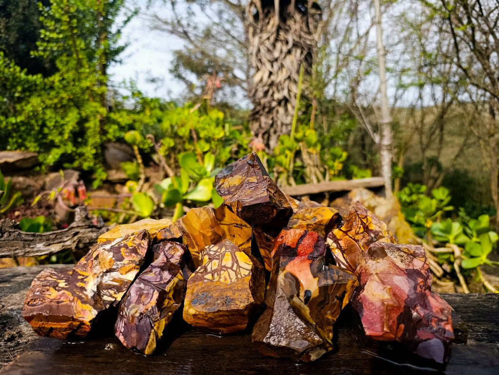 Natural Selected Nguni Jasper Cobbed Specimens x 12 From Prieska, South Africa - Toprock Gemstones and Minerals 
