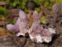 Natural Amethyst Spirit Quartz Clusters x 12 From South Africa
