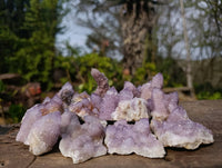 Natural Amethyst Spirit Quartz Clusters x 12 From South Africa