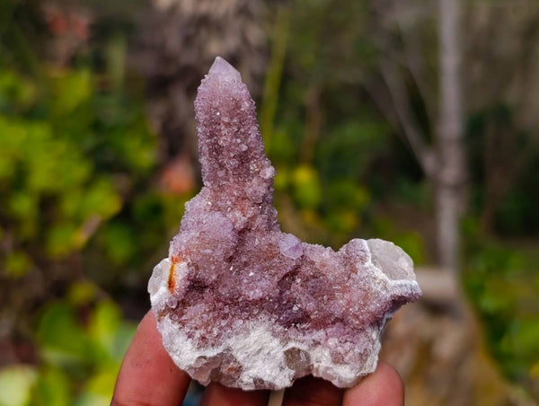 Natural Amethyst Spirit Quartz Clusters x 12 From South Africa