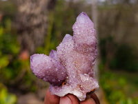 Natural Amethyst Spirit Quartz Clusters x 12 From South Africa