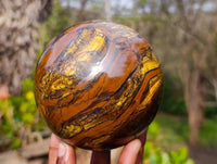 Polished Tigers Eye Sphere x 1 From Prieska, South Africa