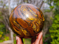 Polished Tigers Eye Sphere x 1 From Prieska, South Africa