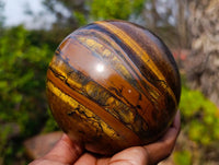 Polished Tigers Eye Sphere x 1 From Prieska, South Africa