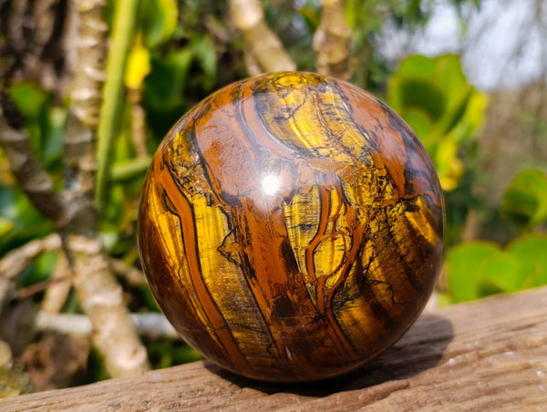 Polished Tigers Eye Sphere x 1 From Prieska, South Africa