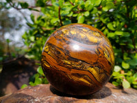 Polished Tigers Eye Sphere x 1 From Prieska, South Africa