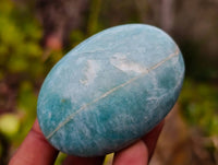 Polished Amazonite Free Forms x 12 From Madagascar - Toprock Gemstones and Minerals 