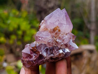 Natural Amethyst Spirit Quartz Clusters x 12 From South Africa