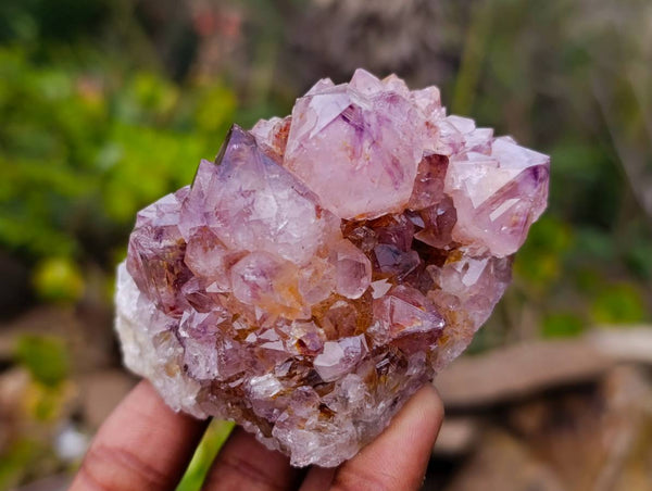 Natural Amethyst Spirit Quartz Clusters x 12 From South Africa