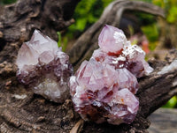 Natural Amethyst Spirit Quartz Clusters x 12 From South Africa