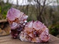 Natural Amethyst Spirit Quartz Clusters x 12 From South Africa