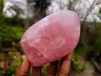 Polished Star Rose Quartz Standing Free Forms x 2 From Madagascar - Toprock Gemstones and Minerals 