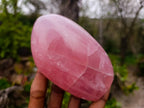 Polished Star Rose Quartz Standing Free Forms x 2 From Madagascar - Toprock Gemstones and Minerals 