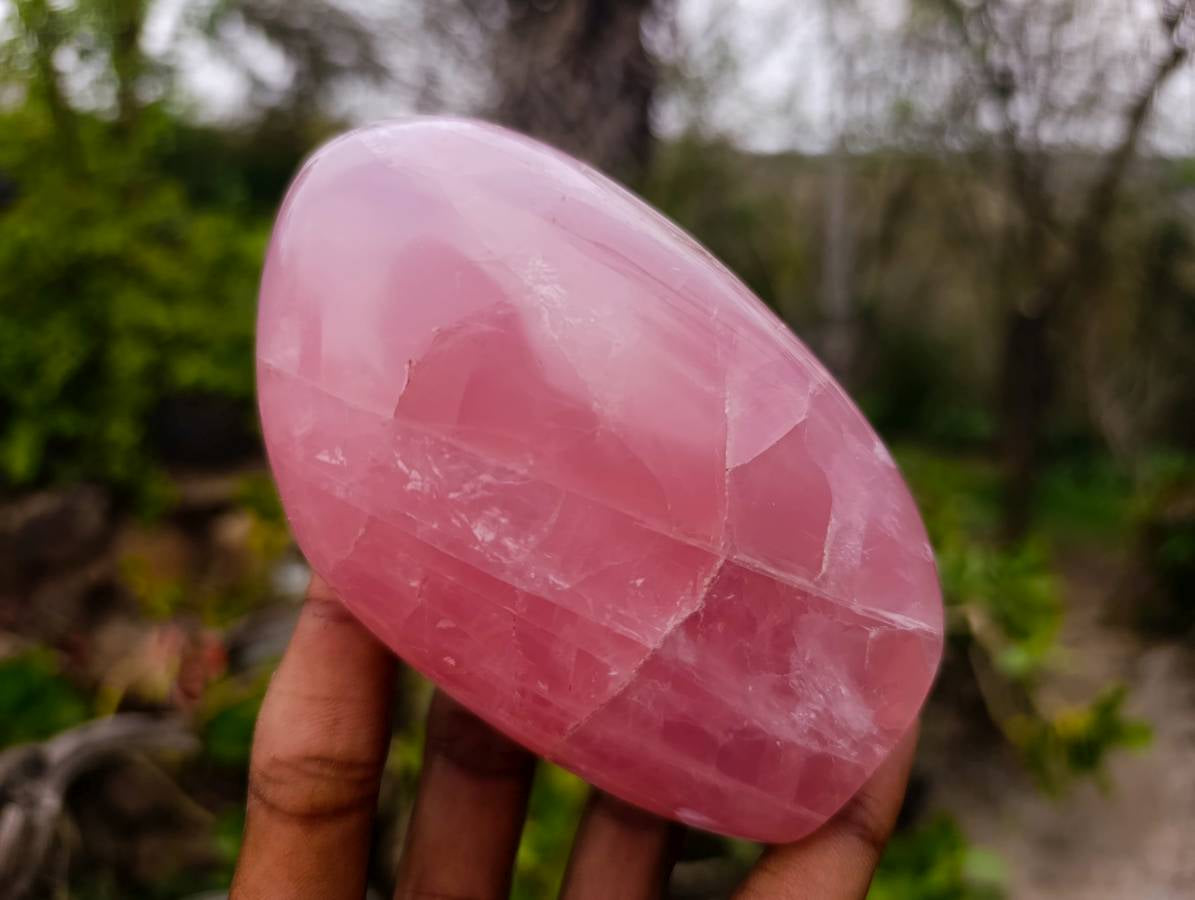 Polished Star Rose Quartz Standing Free Forms x 2 From Madagascar - Toprock Gemstones and Minerals 