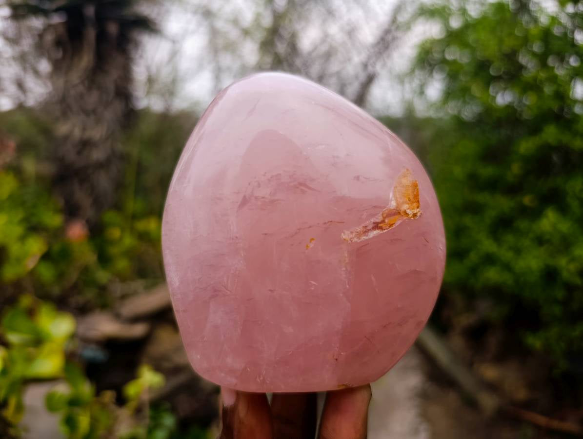 Polished Star Rose Quartz Standing Free Forms x 2 From Madagascar - Toprock Gemstones and Minerals 