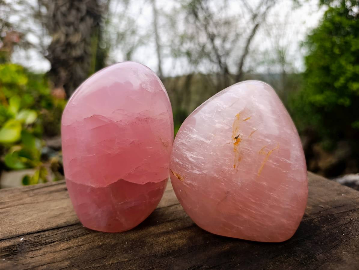 Polished Star Rose Quartz Standing Free Forms x 2 From Madagascar - Toprock Gemstones and Minerals 